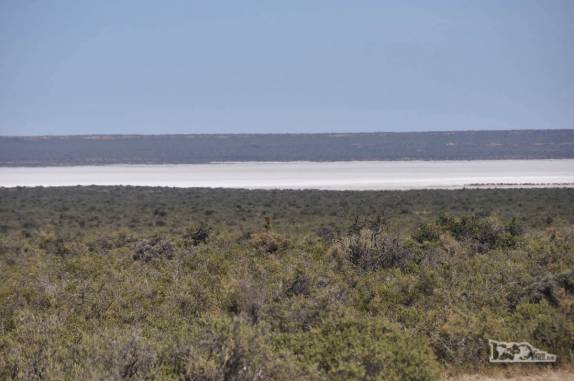Uma depressão no interior da Península Valdés, no litoral da  patagônia argentina, é um dos pontos mais baixos do continente sulamericano